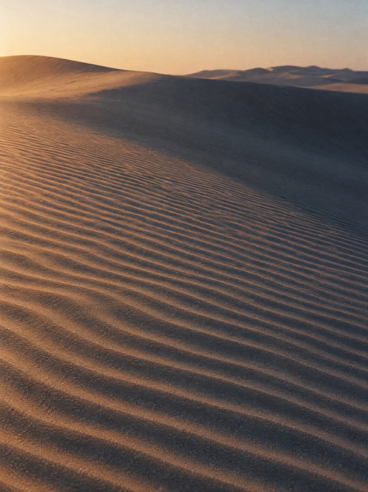 Wind-rippled sand dunes in low evening light.